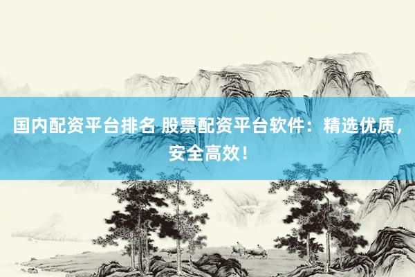 國(guó)內(nèi)配資平臺(tái)排名 股票配資平臺(tái)軟件：精選優(yōu)質(zhì)，安全高效！